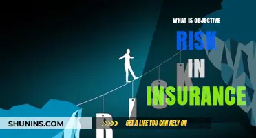 Understanding Objective Risk in Insurance