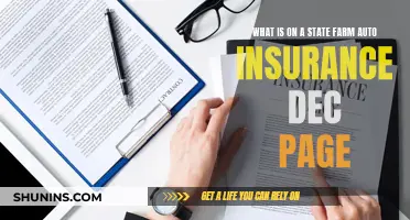 Understanding Your State Farm Auto Insurance Declaration Page