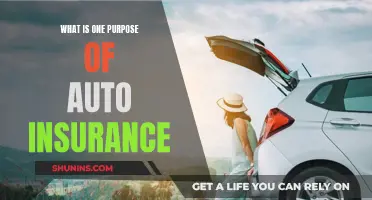 Auto Insurance: Protecting You and Your Vehicle