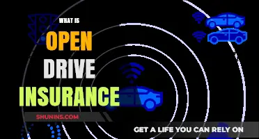 Open Drive Insurance: What It Is and How It Works