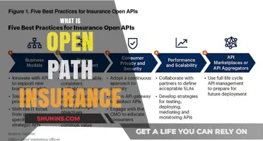 Open Path Insurance: An Alternative Coverage Option