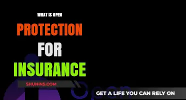Open Protection Insurance: What You Need to Know