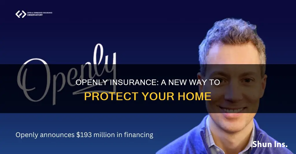 what is openly insurance