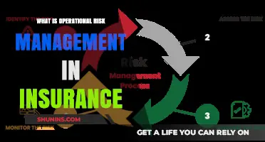 Operational Risk Management: Insurers' Guide to Success
