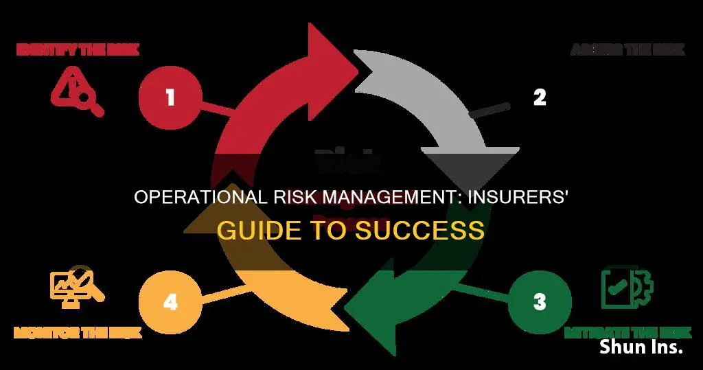what is operational risk management in insurance
