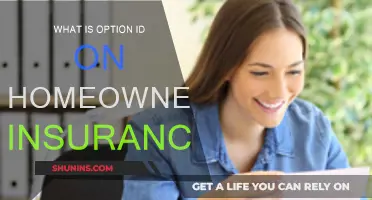 Understanding the Option ID on Your Home Insurance Policy
