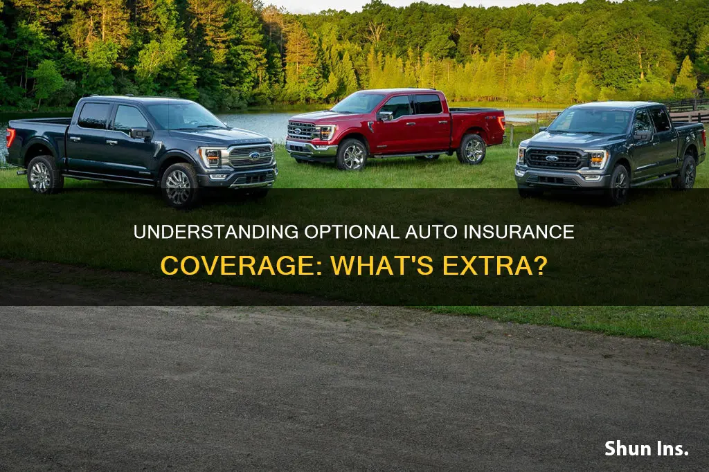 what is optional coverage for auto insurance