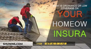 Understanding Ordinance or Law Coverage in Homeowners Insurance