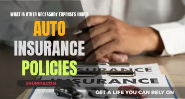 Auto Insurance: Understanding 'Other Necessary Expenses' Coverage