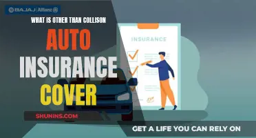 Auto Insurance: Beyond Collision, What Else is Covered?