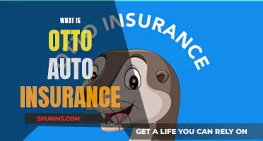 Otto Auto Insurance: What's the Deal?