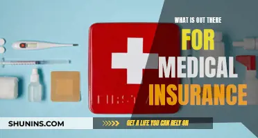 Medical Insurance: Exploring Available Options and Benefits