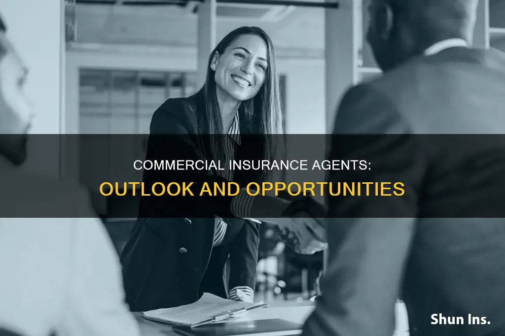 what is outlook for commercial insurance agents