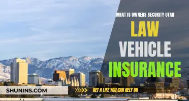 Utah's Vehicle Insurance Laws: Owner Security