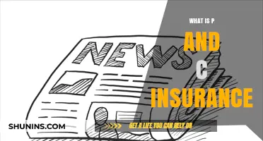 Understanding P&C Insurance: Coverage, Benefits, and How It Protects You