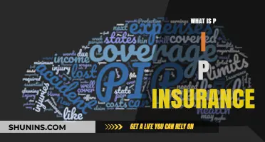 PIP Insurance: What You Need to Know