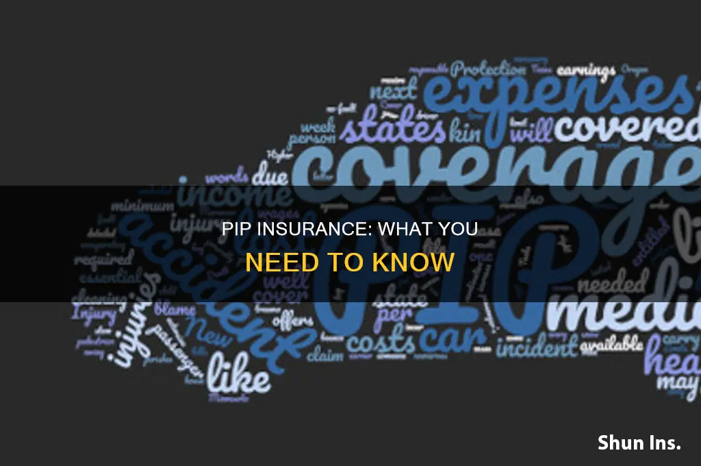 what is p i p insurance