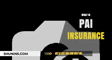 Understanding PAI Insurance: Benefits, Coverage, and Why It Matters