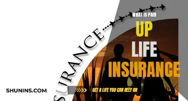 Life Insurance: Paid-Up Policies Explained