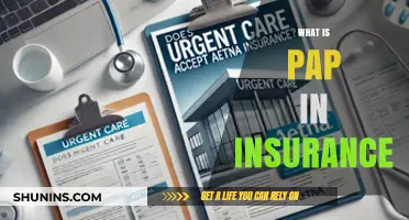 Understanding PAP Insurance: Personal Auto Policy Coverage Explained Simply