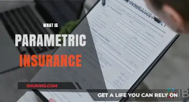 Understanding Parametric Insurance: A Modern Approach to Risk Management