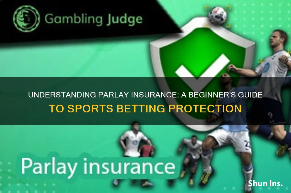 what is parlay insurance