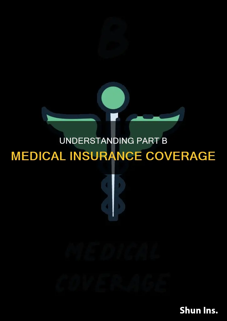 what is part b medical insurance