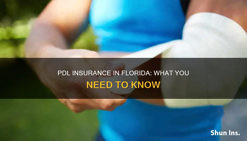 what is pdl insurance in Florida