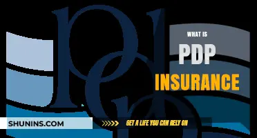 Understanding PDP Insurance: What You Need to Know