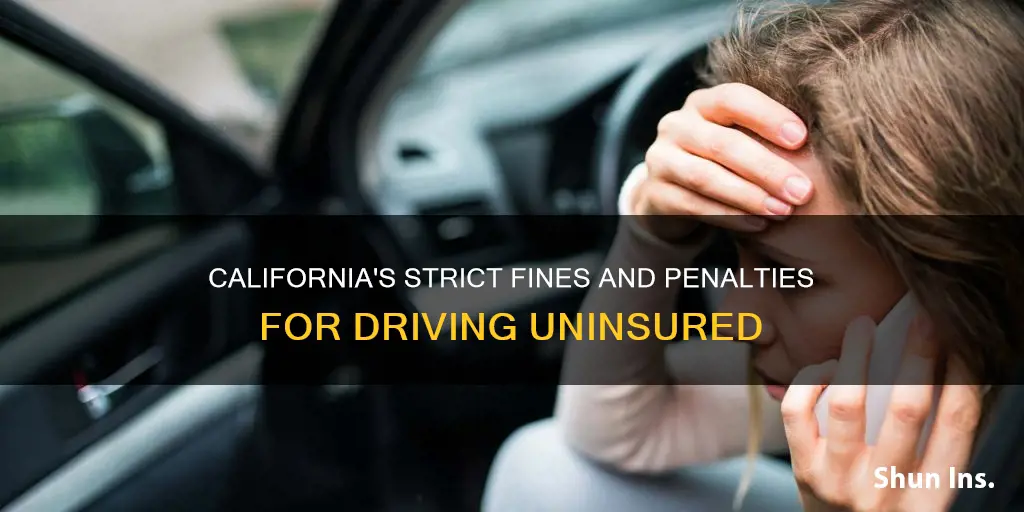 what is penalty for not having auto insurance in California