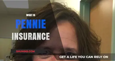 Understanding Pennie Insurance: Benefits, Coverage, and Enrollment Guide