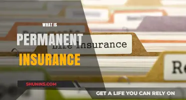 Understanding Permanent Insurance: Lifelong Coverage and Financial Security Explained