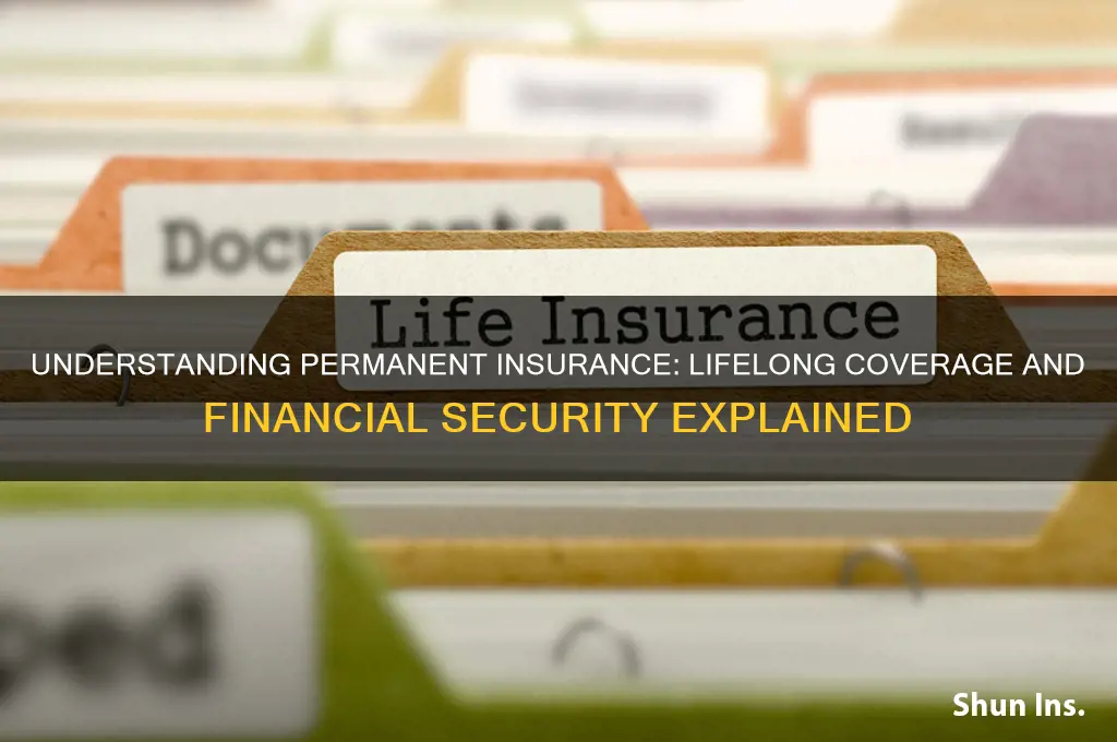 what is permanent insurance