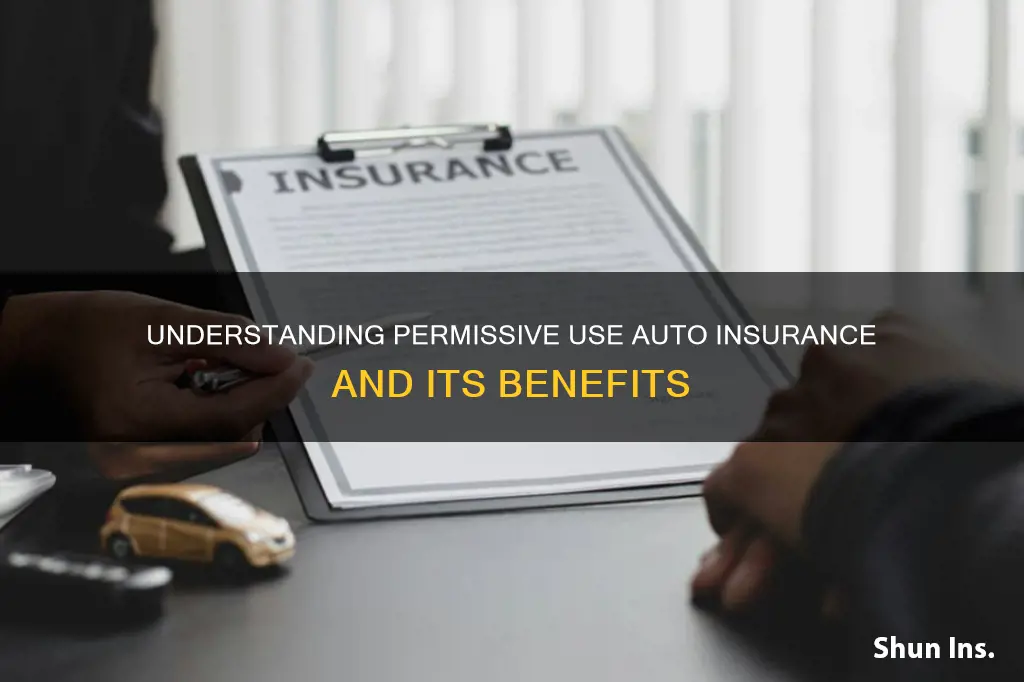 what is permissive use auto insurance