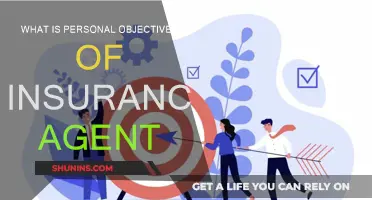 Personal Objectives: A Day in the Life of an Insurance Agent