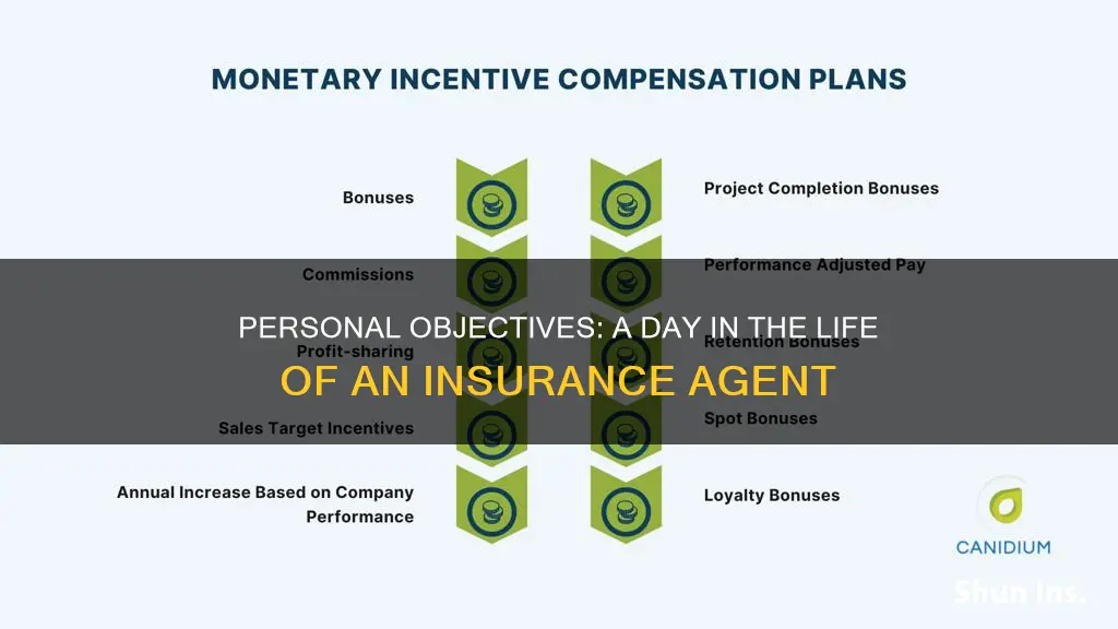 what is personal objectives of insurance agent