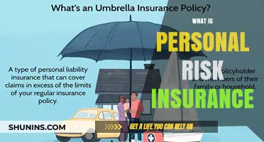 Personal Risk Insurance: Protecting Your Financial Security