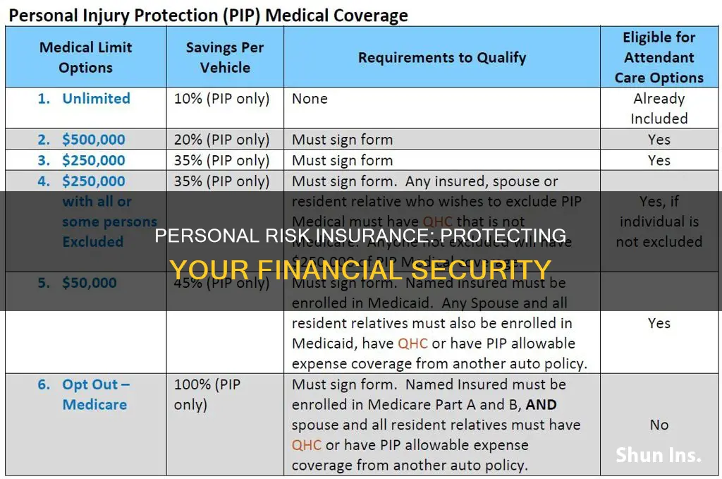 what is personal risk insurance