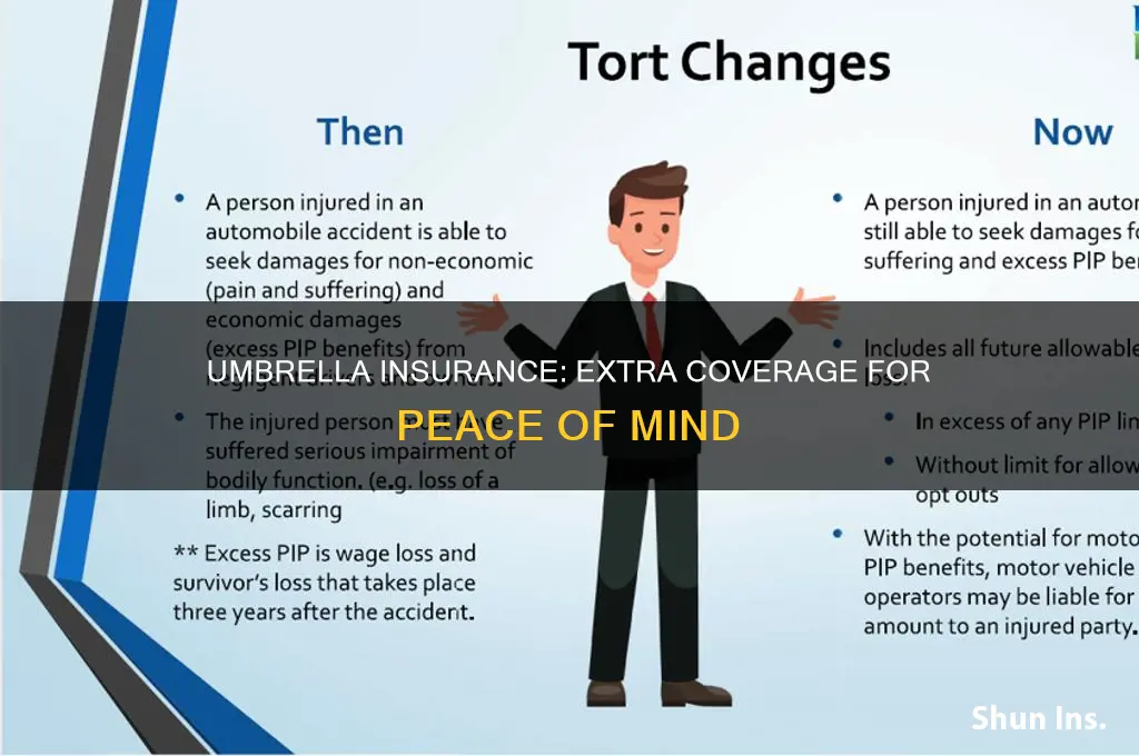 what is personal umbrella insurance