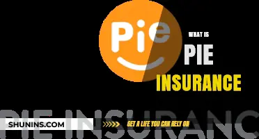 Understanding Pie Insurance: Coverage, Benefits, and How It Works