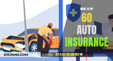 Understanding Auto Insurance: PIP 60 and You