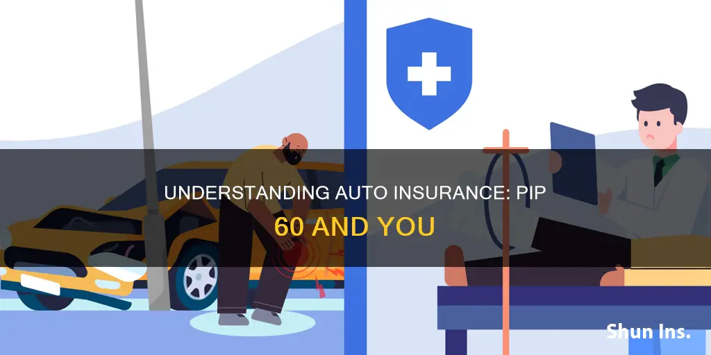 what is pip 60 auto insurance