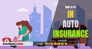 Auto Insurance PIP: What You Need to Know