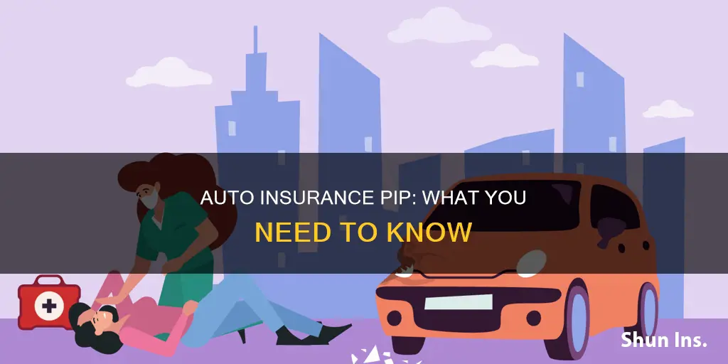 what is pip in auto insurance