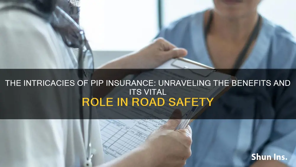 what is pip in insurance terms