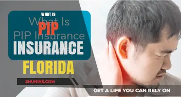 Florida's PIP Insurance: What You Need to Know