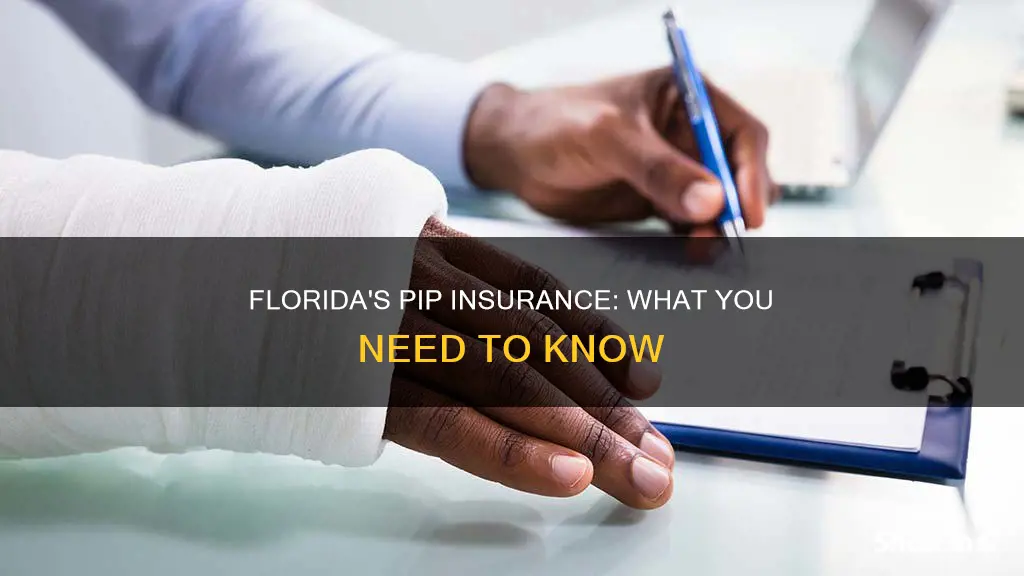 what is pip insurance florida