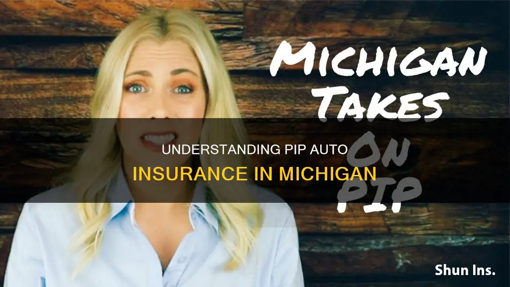 what is pip on my auto insurance in Michigan