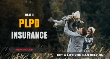 Understanding PLPD Insurance: Coverage, Benefits, and Why It Matters