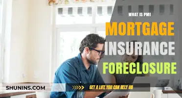 PMI Mortgage Insurance: Foreclosure Protection